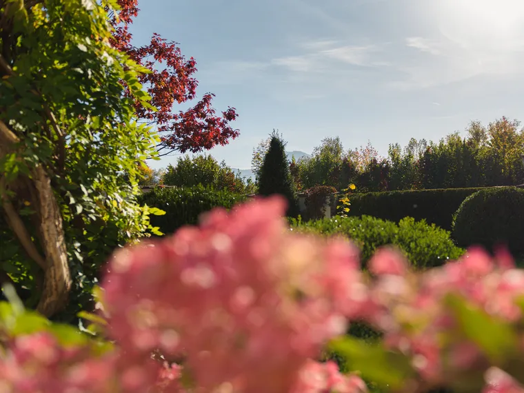 brandstaetter-garten-1.jpg