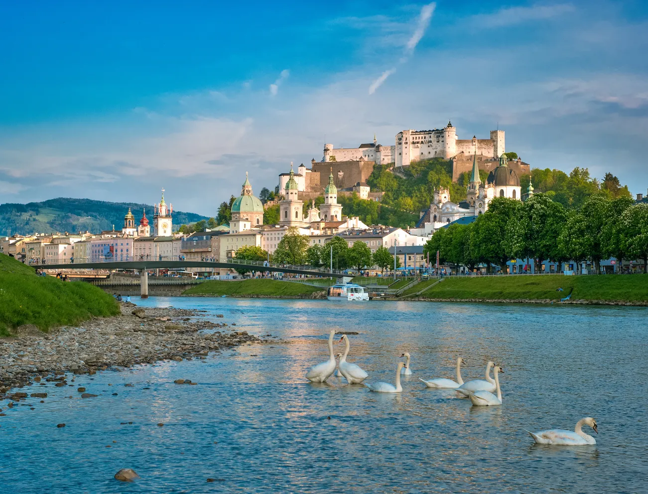 salzach-schwaene.jpg