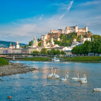 salzach-schwaene.jpg