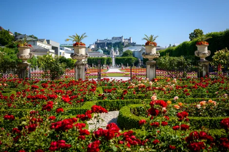 mirabellgarten.jpg