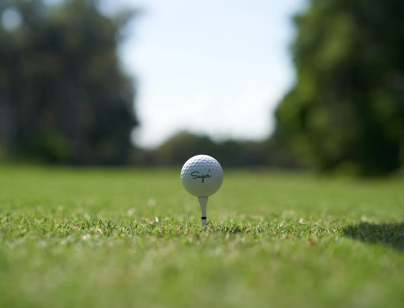 sugar-golf-cjbgtu57ria-unsplash.jpg