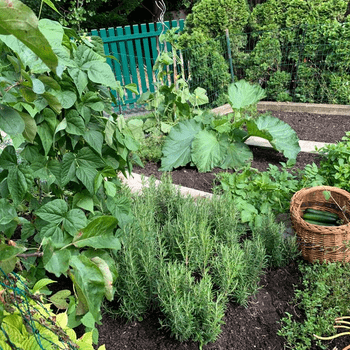 [Translate to English:] 